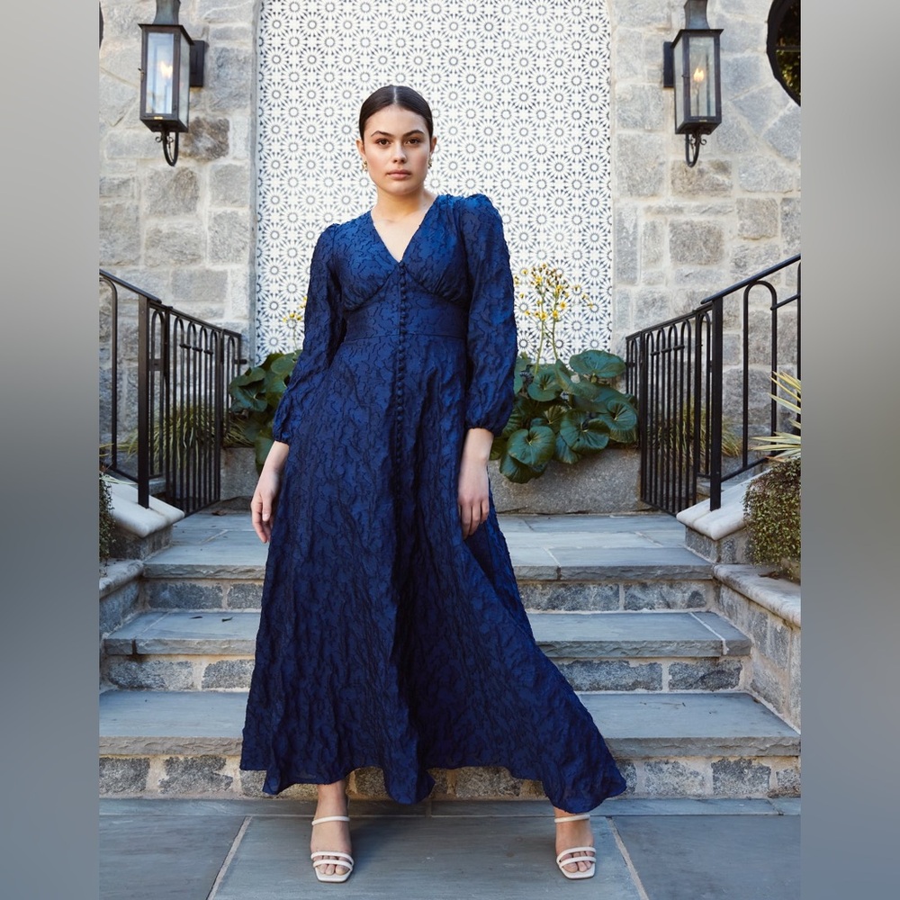 NWT Abbey Glass Brooke Organza V-Neck Button Front A-Line Maxi Dress Navy Sz XS - Picture 2 of 12